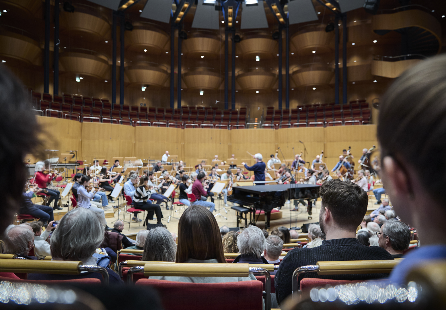 Philharmonie Probe