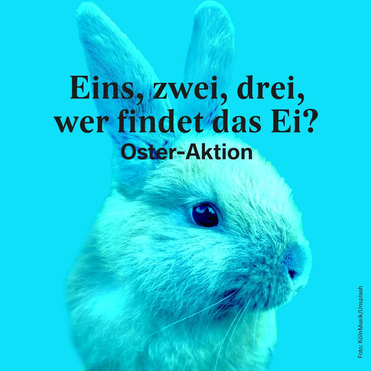 Oster-Aktion