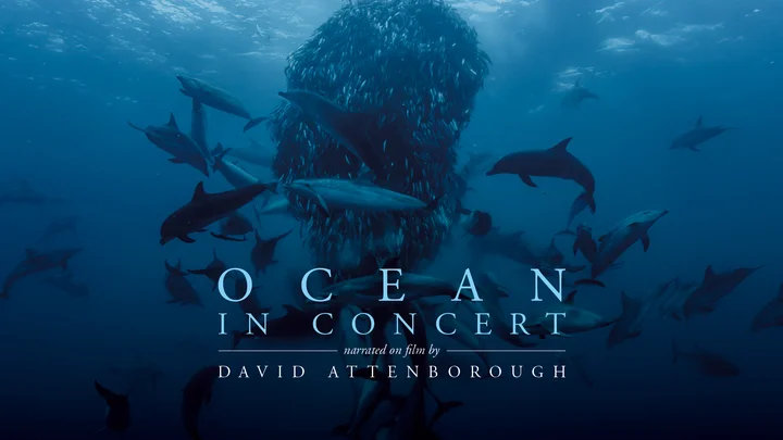 Unterwasseraufnahme mit Fischen und Haien, Titel »Ocean in Concert« mit dem Namen David Attenborough darüber.