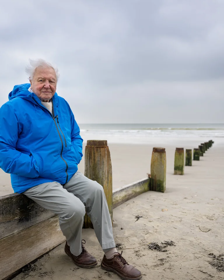 Ocean With David Attenborough: Mann in blauer Jacke sitzt auf einem Holzgeländer an einem bewölkten Strand. Der Himmel ist grau und das Meer im Hintergrund.