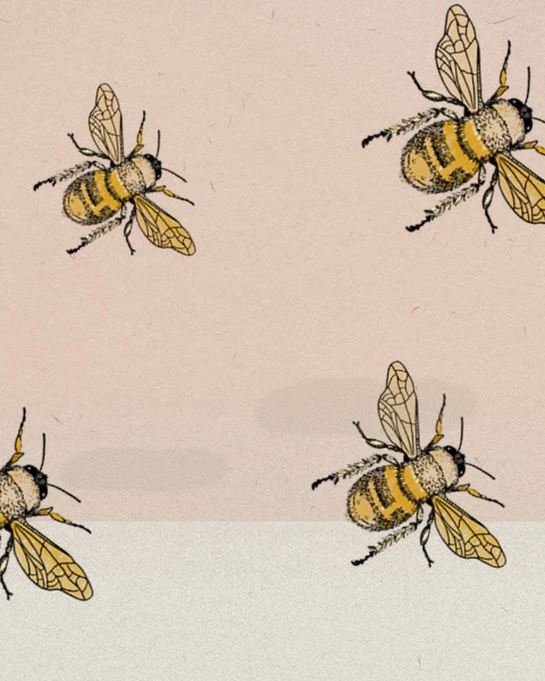 Vier gezeichnete Bienen schweben vor einem zweifarbigen, hellen Hintergrund. Ihre Körper sind detailliert illustriert mit gelben und schwarzen Streifen.