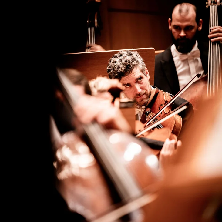 Ein Orchester mit konzentrierten Musikern während einer Aufführung. Ein Geiger und ein Kontrabassist sind im Vordergrund zu sehen.