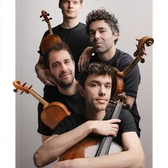 vision string quartet