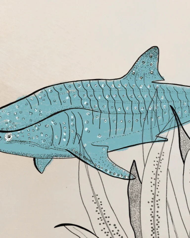 Illustration eines blauen Wals mit feinen Linien, der durch Seegras schwimmt. Die Zeichnung wirkt schlicht und elegant.