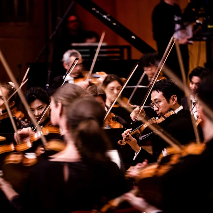 Ein Orchester spielt auf einer Bühne, Musiker konzentrieren sich auf ihre Violinen. Die Atmosphäre ist intensiv und künstlerisch.