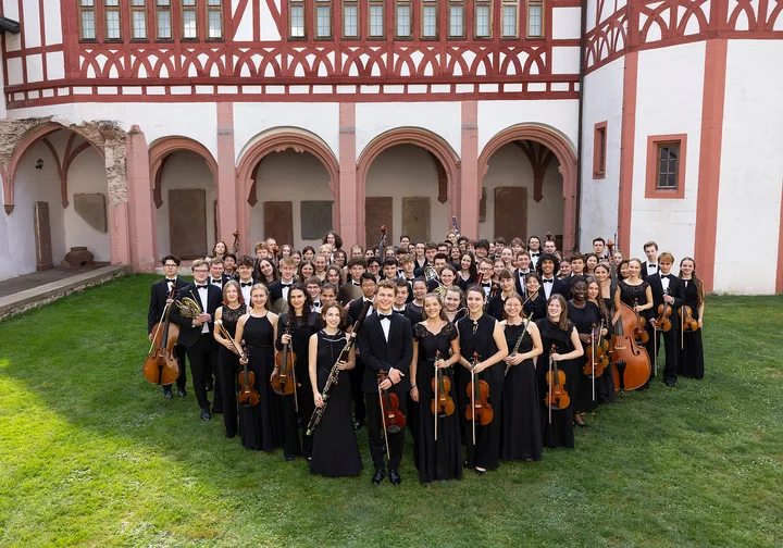 The members of the Bundesjugendorchesters are standing with their instruments on the lawn in front of a historic building.