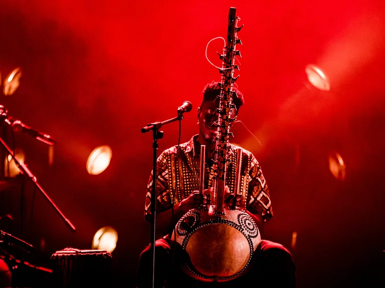Ein Musiker spielt Kora, eine traditionelle westafrikanische Harfe, in einer stimmungsvollen roten Bühnenbeleuchtung. Mikrophon und Beleuchtung im Hintergrund.
