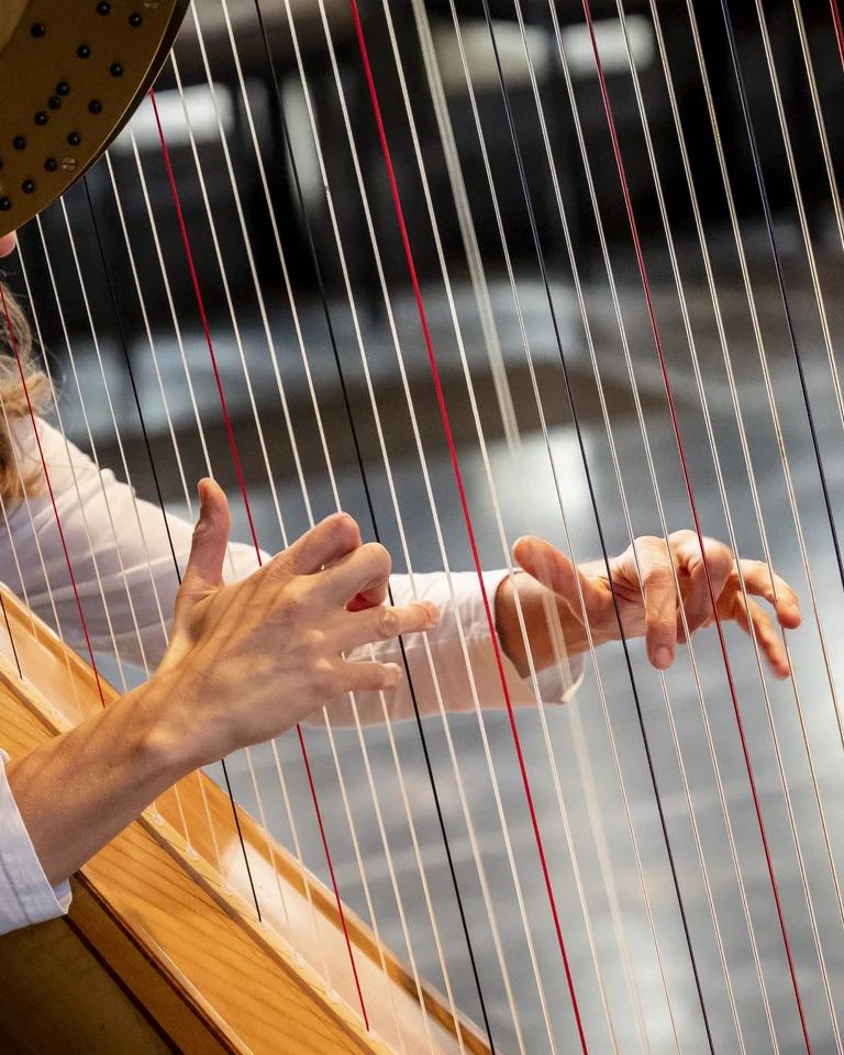 Nahaufnahme einer Harfenistin, die konzentriert die Saiten ihres Instruments zupft. Ihre Hände sind in filigraner Bewegung eingefangen.