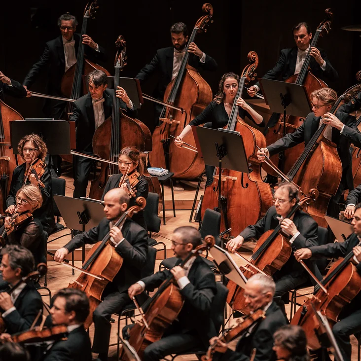 Symphonieorchester (Gewandhausorchester Leipzig) bei einem Konzert. Die Musiker sind mit Geigen, Celli und anderen Streichinstrumenten auf einer Bühne versammelt.