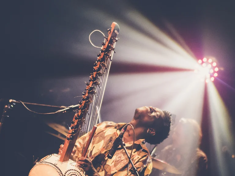 Ein Musiker spielt eine Kora auf einer Bühne, beleuchtet von Scheinwerfern im Hintergrund, mit intensivem Gesichtsausdruck.