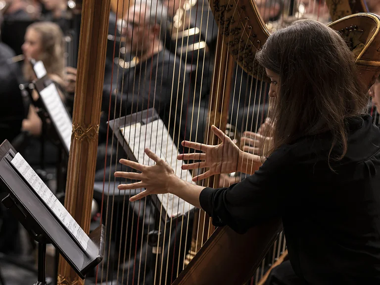 Eine Harfenistin des Mahler Academy Orchestras spielt in einem Konzert. Im Hintergrund sind andere Musiker zu sehen, die konzentriert an ihren Instrumenten spielen.